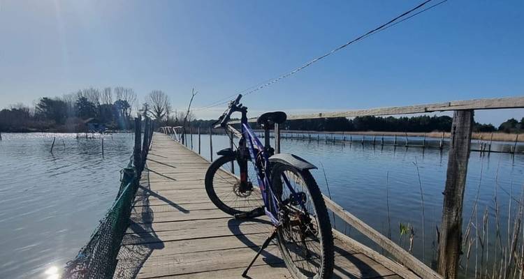 Bicicleta estacionada en un puente de madera sobre un cuerpo de agua tranquilo con un cielo azul despejado.
