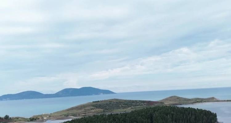 Vista de una costa con árboles e islas distantes bajo un cielo nublado.