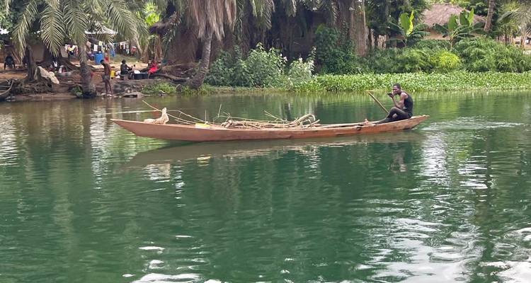 Person, die ein Kanu auf einem friedlichen Fluss paddelt, umgeben von üppigem Grün.