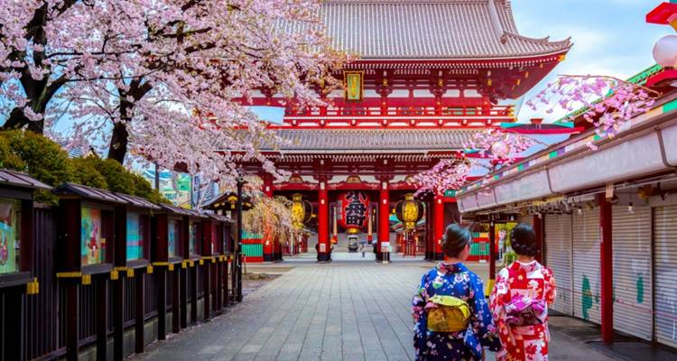Traditionelles Tempeltor mit Kirschblüten und Menschen in Kimono