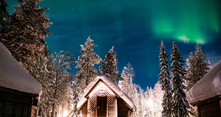 Cabane entourée d'arbres couverts de neige avec des aurores boréales au-dessus.