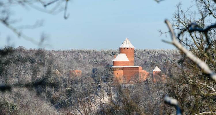 Château vu de loin avec paysage enneigé.