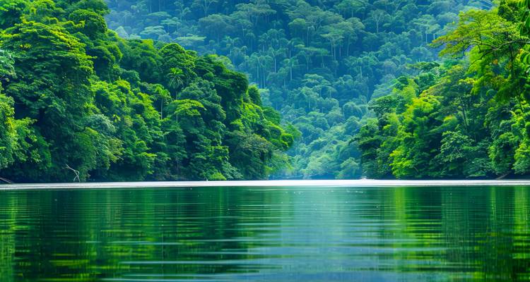 Río verde y tranquilo rodeado por una densa selva tropical que se refleja vívidamente en aguas tranquilas