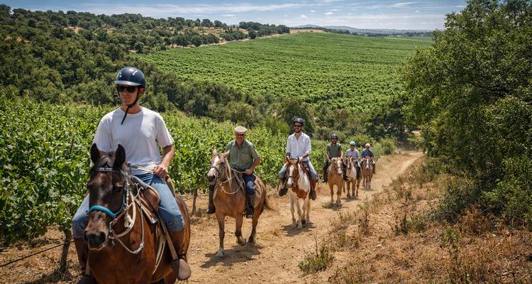 Grupo de personas montando a caballo en un sendero a través de vegetación.