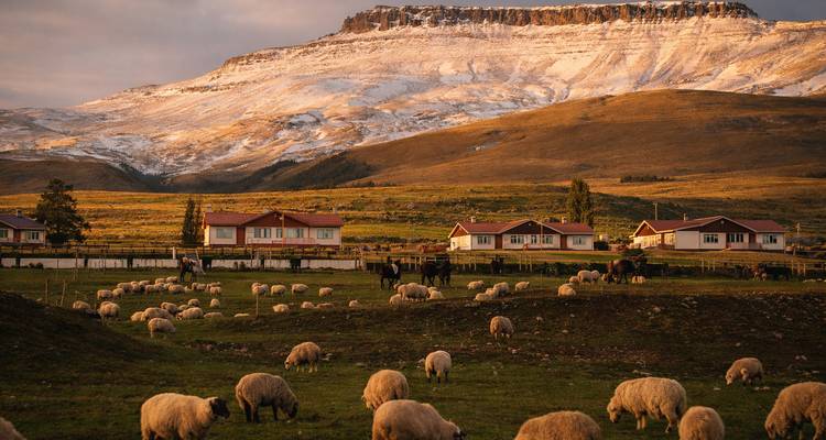 Escena pastoral con ovejas pastando y casas frente a montaña con cumbres nevadas.