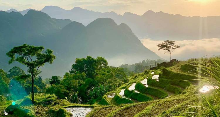 Schilderachtig uitzicht op terrasvelden en bergen bij zonsopgang.
