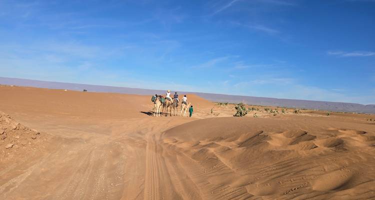 Kleine kameelkaravaan trekt door open zand met een diepblauwe lucht erboven