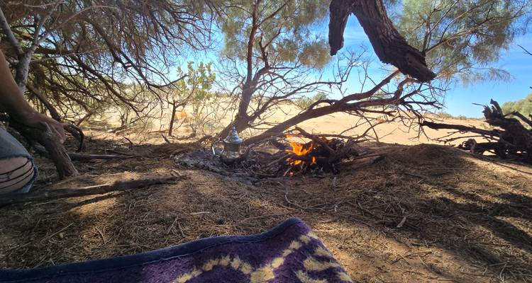 Ketel die verwarmt boven een open vuur onder woestijnstruiken tijdens een dagtijdse kampstop