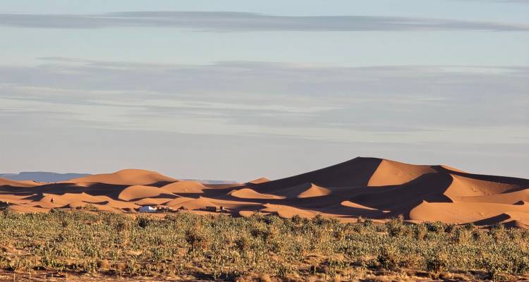 Uitgestrekte woestijn bezaaid met lage vegetatie die leidt naar golvende okerkleurige duinen