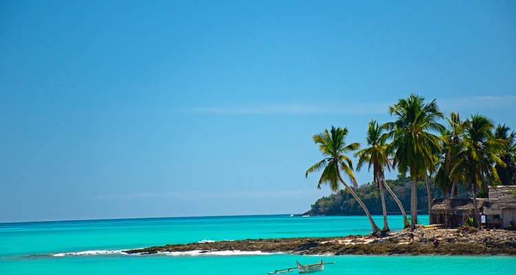 Palm-fringed coastline with clear aqua water and a rustic wooden hut on the shore.