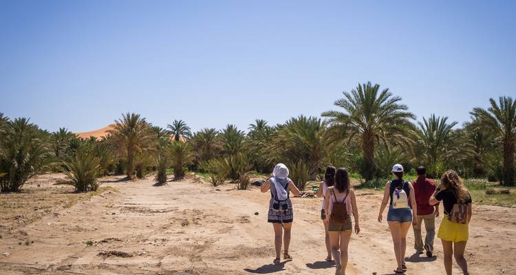 Los viajeros caminan por un sendero arenoso hacia un oasis de palmeras altas con dunas distantes por delante.