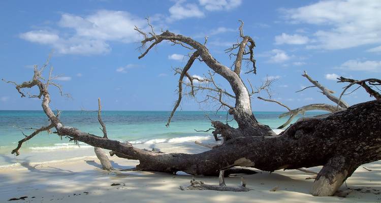 Eine ruhige Strandszene mit türkisfarbenem Wasser und vereinzelten weißen Wolken.