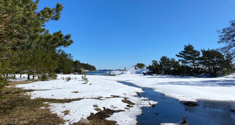 Paysage enneigé avec des arbres et un petit plan d'eau sous un ciel bleu dégagé.