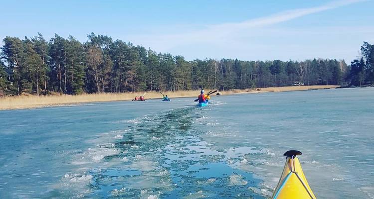 Des kayakistes pagayant sur une eau glacée avec une côte boisée en arrière-plan.