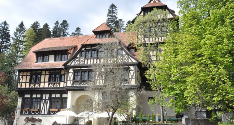 Edificio de estilo Tudor rodeado de árboles.