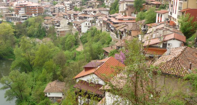 Pueblo en la ladera con tejados de tejas y vegetación exuberante.