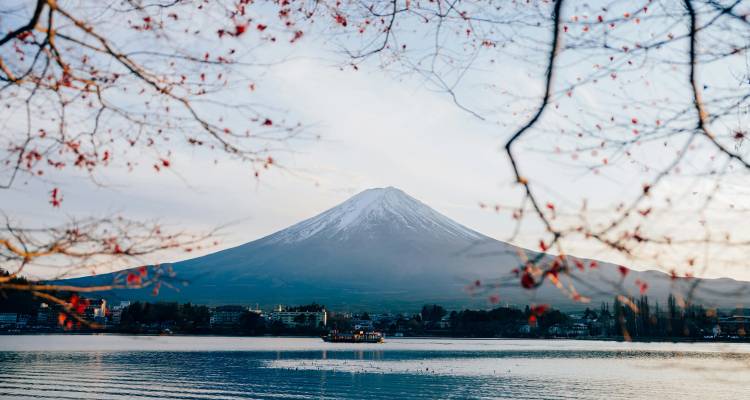 De berg Fuji omlijst door herfstbladeren boven een meer bij helder weer.
