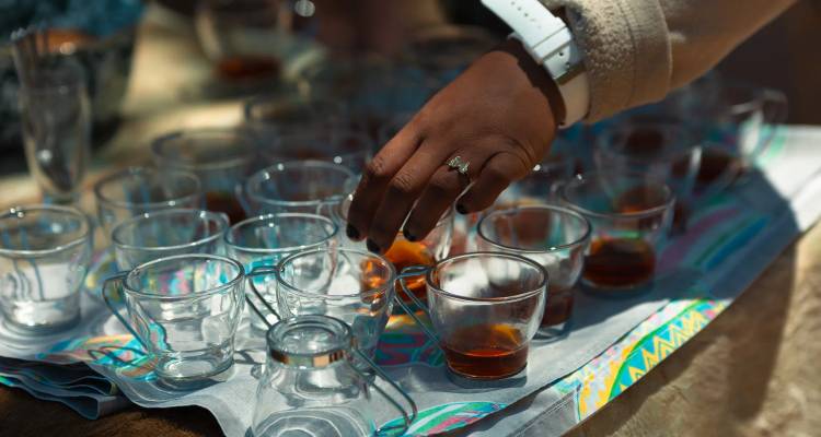 Hand selecting glass cups of amber tea from a tasting tray