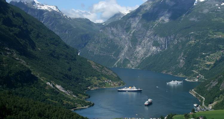 Panoramisch uitzicht op een diepe fjord omgeven door steile groene bergen met meerdere cruiseschepen die op kalm water voor anker liggen.