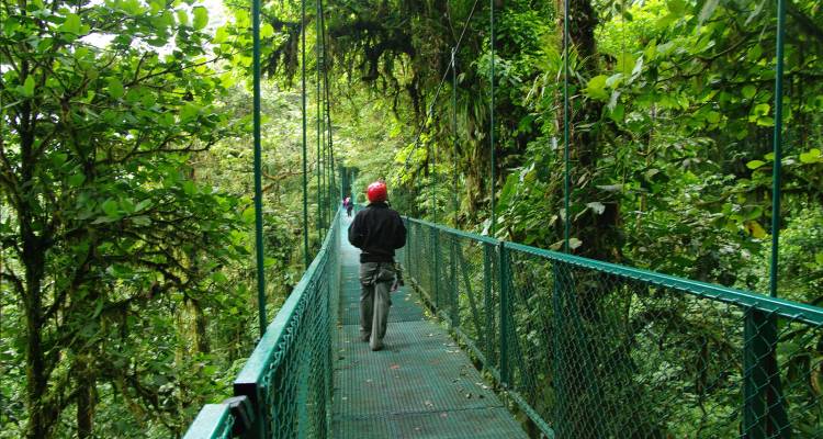 Un voyageur portant un casque traverse un pont suspendu étroit situé au coeur d'une forêt nuageuse luxuriante.