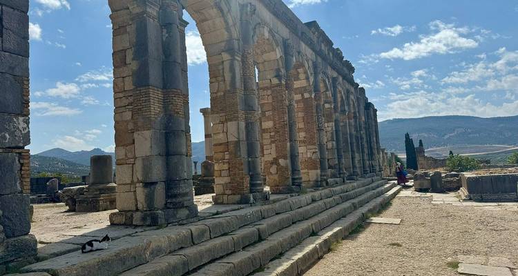 Ruinas romanas antiguas con montañas de fondo.