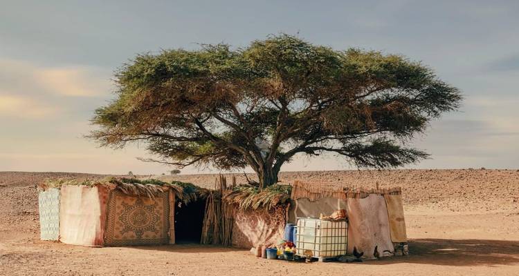 Cabane simple sous un grand arbre dans un paysage clairsemé
