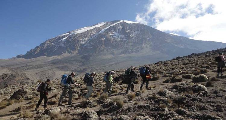 Grupo de senderismo ascendiendo por pendientes rocosas con el Kilimanjaro nevado asomando adelante.