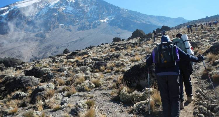 Mochileros subiendo por un polvoriento sendero alpino hacia la cumbre nevada del Kilimanjaro.