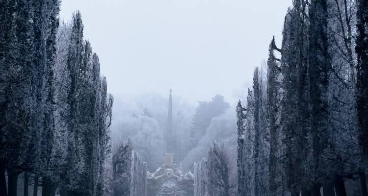 Üppige, felsige Landschaft mit nebligen Bergen und grüner Vegetation.