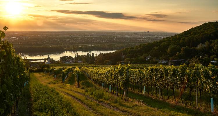 Eine Gruppe, die einen Weg in Machu Picchu entlanggeht mit einer atemberaubenden Aussicht.
