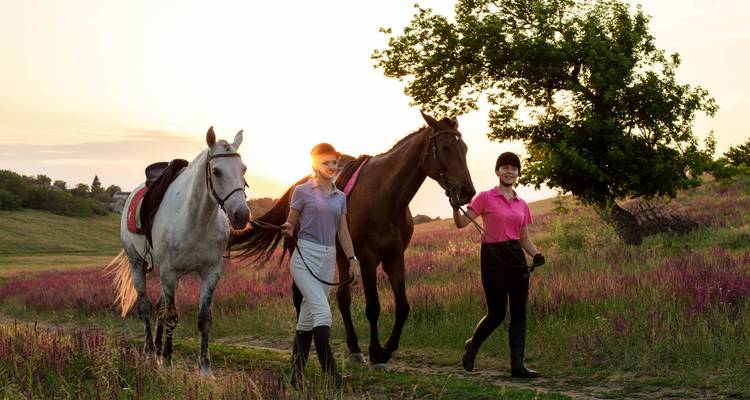 Dos mujeres guiando caballos por un sendero de pradera al atardecer con cálida iluminación trasera.