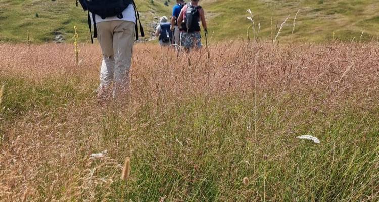 Wanderer gehen durch hohes Gras auf einem Pfad.
