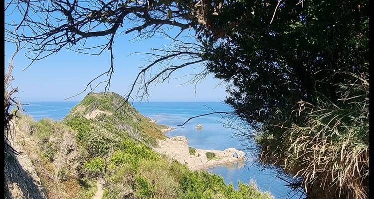 Malerische Aussicht auf das Meer durch überhängende Äste und felsige Küstenlinie.