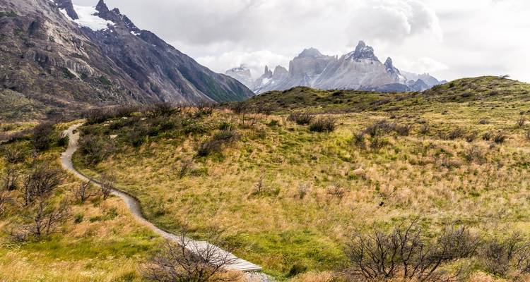 Sendero a través de terreno herboso con montañas en la distancia.