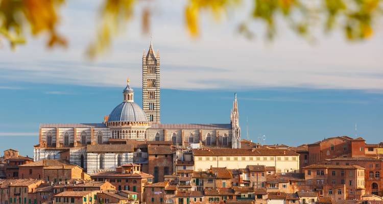 Horizon de Sienne avec son dôme de cathédrale rayé et son clocher encadrés par des feuilles d'automne.