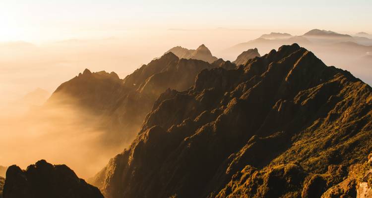 Rugged ridge lines of the Hoàng Liên Mountains emerge above a sea of dawn mist bathed in warm light.