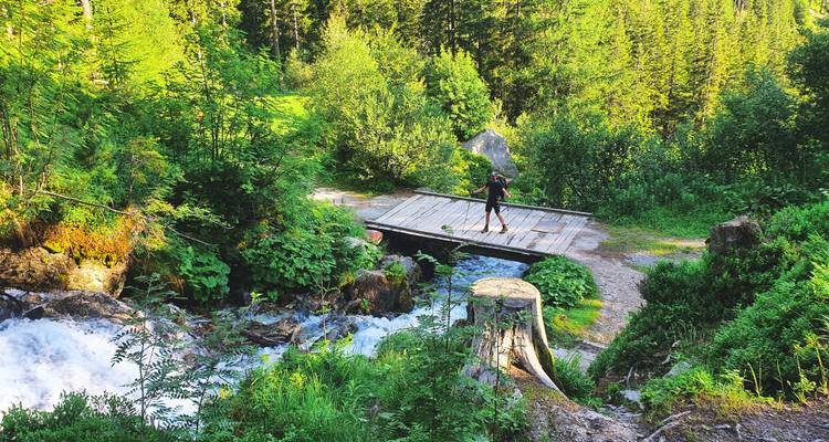 Randonneur traversant un petit pont en bois au-dessus d'un torrent de montagne impétueux dans une végétation dense