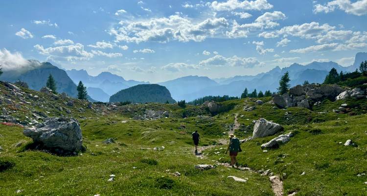 Petit groupe faisant de la randonnée à travers une vaste prairie alpine avec des chaînes de montagnes bleu brumeux à l'horizon