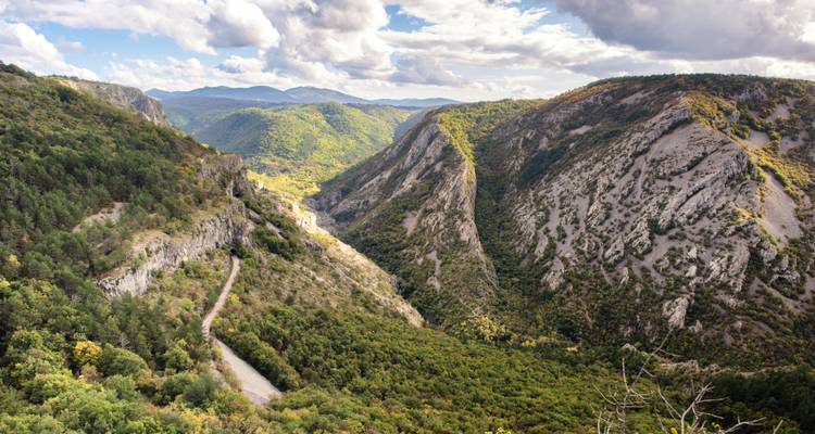 Breed ruw canyonlandschap met beboste hellingen en kronkelende onverharde weg gezien onder gedeeltelijk bewolkte luchten.