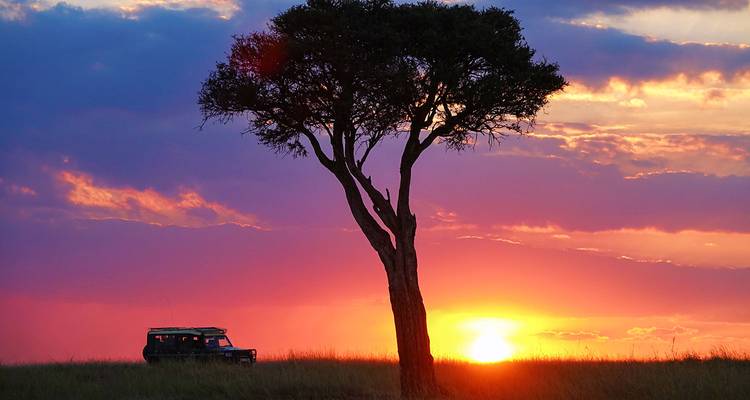 Ein lebendiger Sonnenuntergang mit einer Baumsilhouette und einem Fahrzeug in einer Savanne.