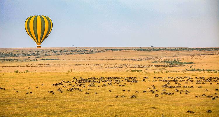 Ein Heißluftballon über einer weiten Savanne mit verstreuten Tieren.
