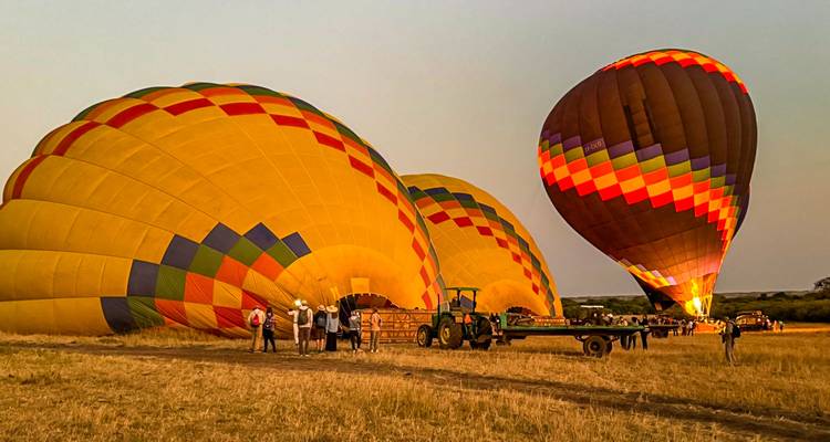 Des montgolfières jaune éclatant et multicolores se gonflent dans un champ de savane à l'aube tandis que l'équipage se prépare au décollage