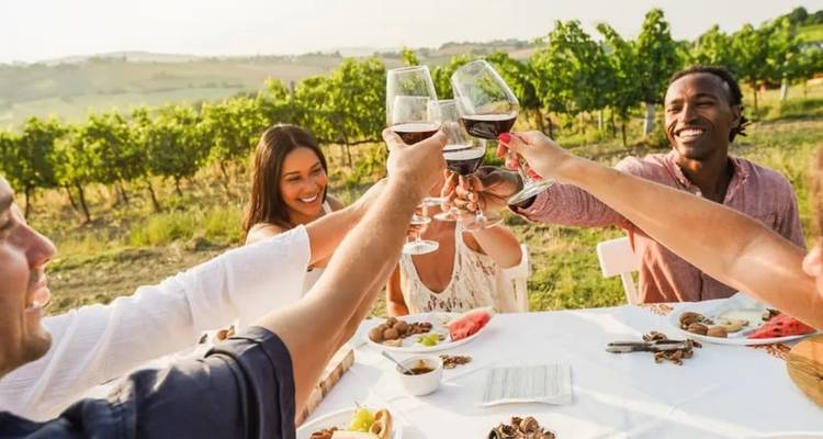Amis souriants levant leurs verres de vin autour d'une table en plein air dans un vignoble ensoleillé