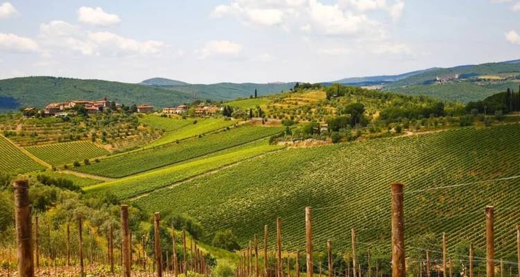 Vignobles et collines ondoyants sous un ciel lumineux dans la campagne du Chianti.