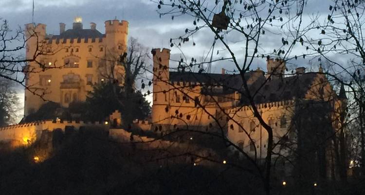 Oud kasteel gedeeltelijk verborgen door takken met verlichting die schaduwen creëert.