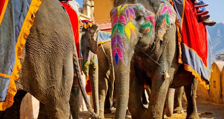 Versierde olifanten onderdeel van een cultureel of festival evenement, met levendige kleuren.