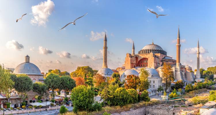 Panorama de la Sainte-Sophie d'Istanbul avec des arbres d'automne et des mouettes dans une lumière dorée d'après-midi.