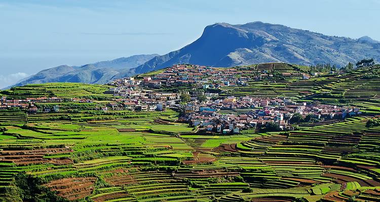 Extensas granjas verdes en terrazas se extienden en cascada por colinas ondulantes hacia un pico distante bajo cielos despejados.