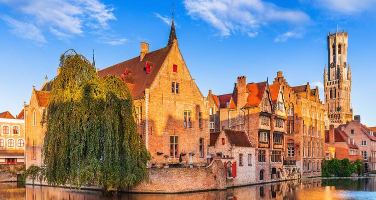Scène de canal féerique à Bruges avec bâtiments médiévaux en brique, saule pleureur feuillu et tour du Beffroi dans une lumière dorée reflétée dans l'eau.