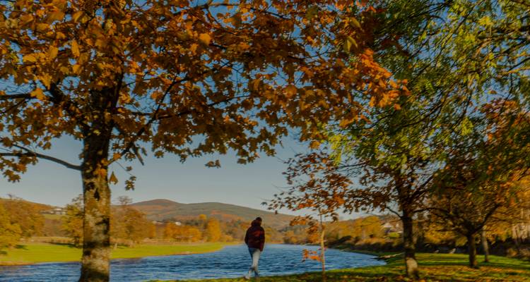 Escena otoñal ligeramente borrosa con una persona caminando junto a un río bordeado por árboles de hojas naranjas.